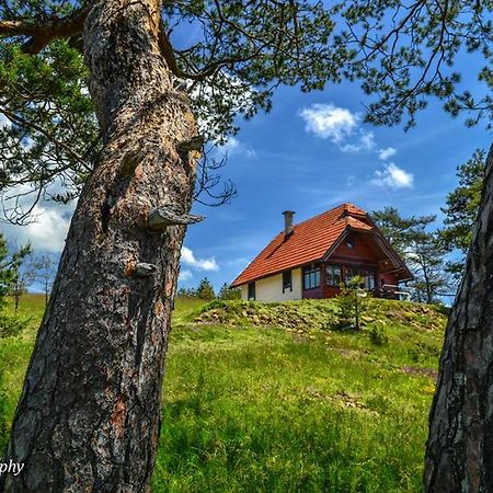 Cottage Vodice Zlatibor Exterior photo