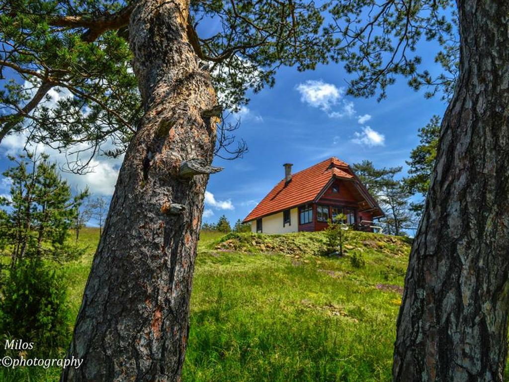 Cottage Vodice Zlatibor Exterior photo