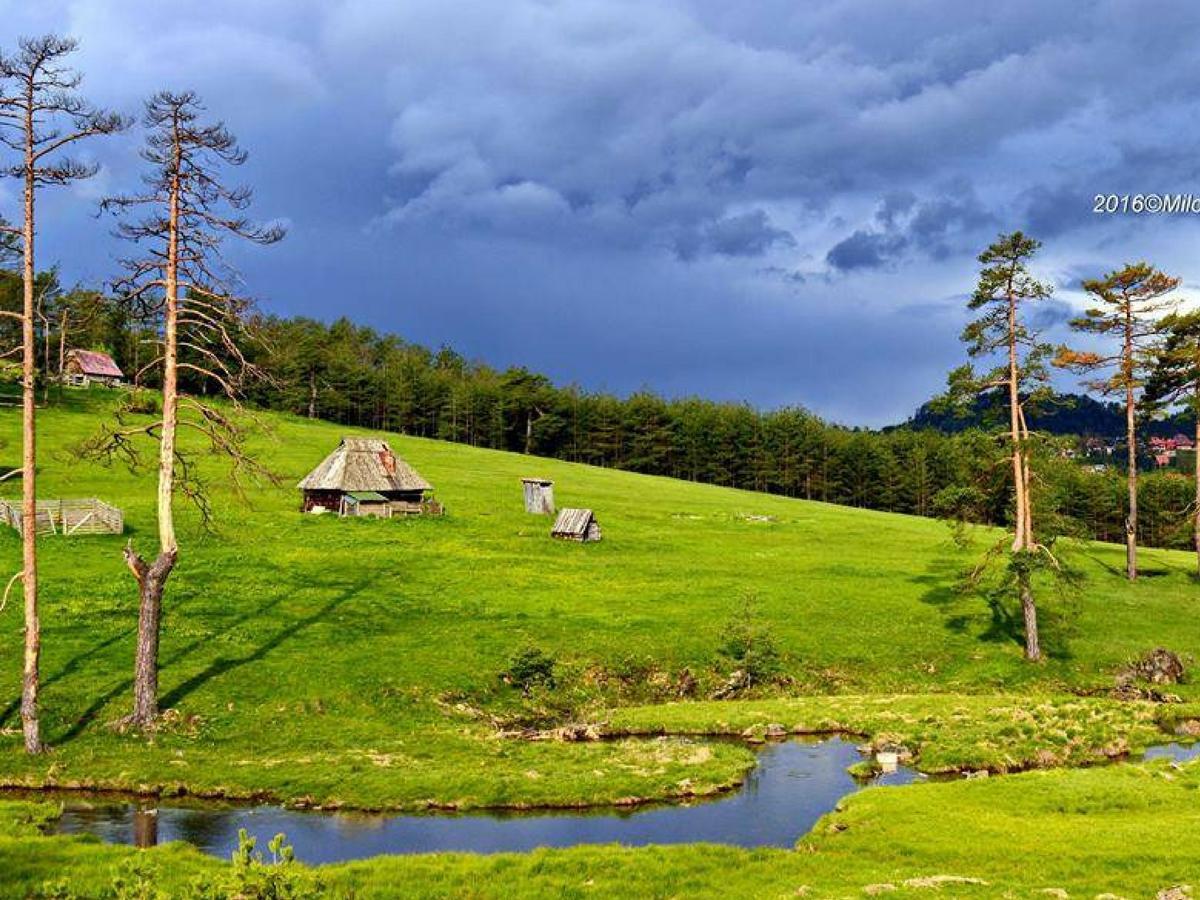 Cottage Vodice Zlatibor Exterior photo