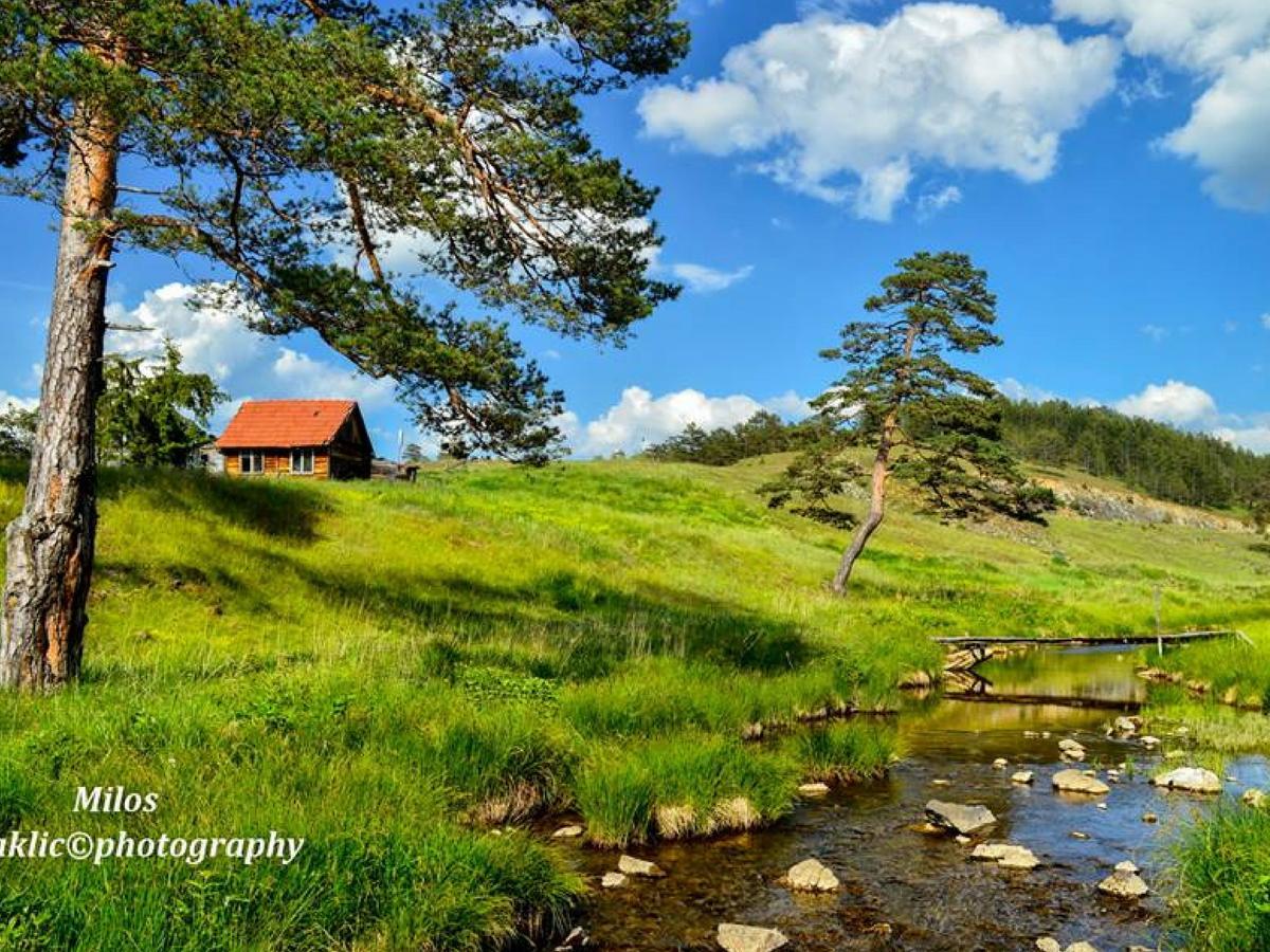 Cottage Vodice Zlatibor Exterior photo
